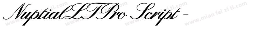 NuptialLTPro Script◆字体转换